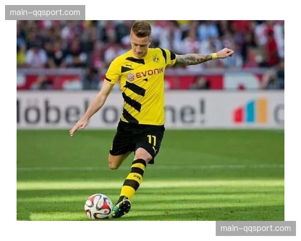 特写：老将罗伊斯替补登场，威斯特法伦响起持久掌声